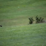 Vista Golf 28