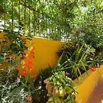 Casa Maestro Lelo - Acogedora Casa Rural Canaria Con Patios Y Jardines De Flores