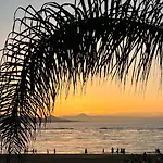 Beach And Sunset
