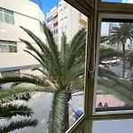 Palmeras 102