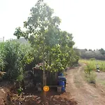 Finca El Lomo