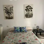 Oasis