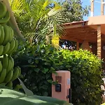 Wohlfuehloase In Maspalomas