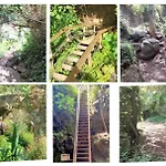 La Cabanita