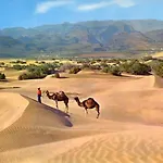 Donana 924