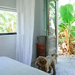 The Tortuga Banana House