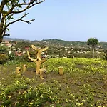 La Finca Leon