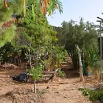 La Casa De Los Pinos Temisas