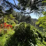 Finca El Lance Zumacal