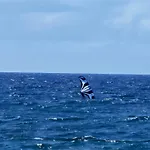 Surf Wave San Andres
