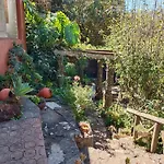 Los Matos, Canarian House In Valleseco