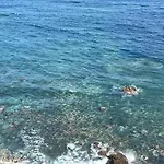 Tu Casita De Caleta1