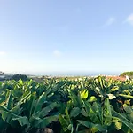 Sunset Banana Plantation House With Sea Views And Private Pool