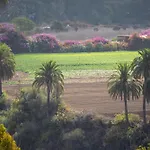 La Casita De Tafira