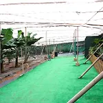 Rural Noalys
