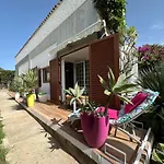 Parrot Cage - The Gay Villa