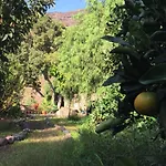 Preciosa Y Acogedora Casa Rural Ideal Para Desconectar En Tasarte