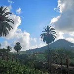 La Hoya, 35