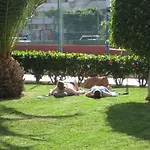 Apartamentos Liberty