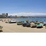 Albatros - Playa De Las Canteras