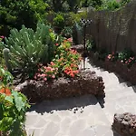 El Olivar - La Oliva