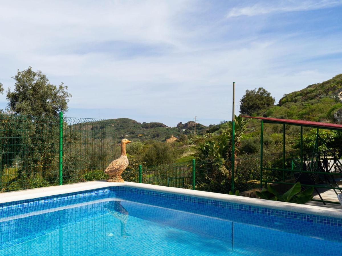 Live Finca El Gamonal Bajo Con Piscina Y Jardin En La Naturaleza Santa Brígida