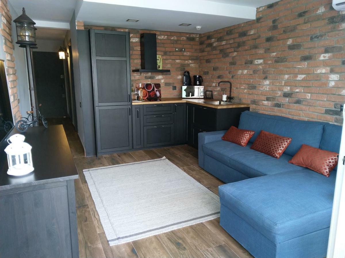 Apartament Tudor Elefantes 407